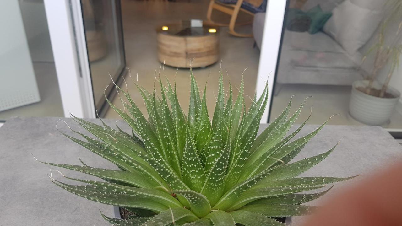 Loft Mariola - Apartamento En El Centro Historico Bocairent Eksteriør bilde